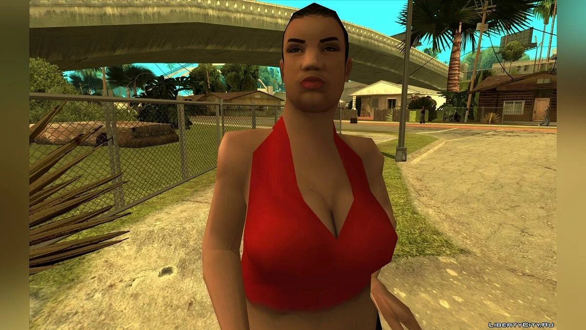 RoSA Project Evolved 2021 - Улучшенные HD текстуры / GTA San Andreas