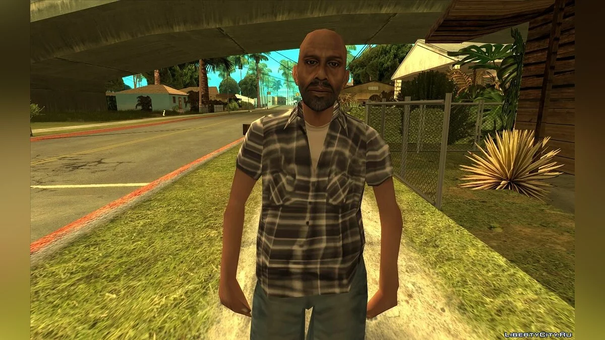 RoSA Project Evolved 2021 - Улучшенные HD текстуры / GTA San Andreas