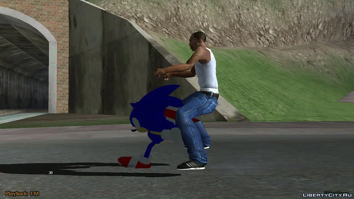 Sonic Bike (только DFF) / GTA San Andreas (iOS, Android)